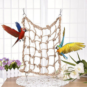 Two parrots on a rope net toy with a white grid background at Pet Servo