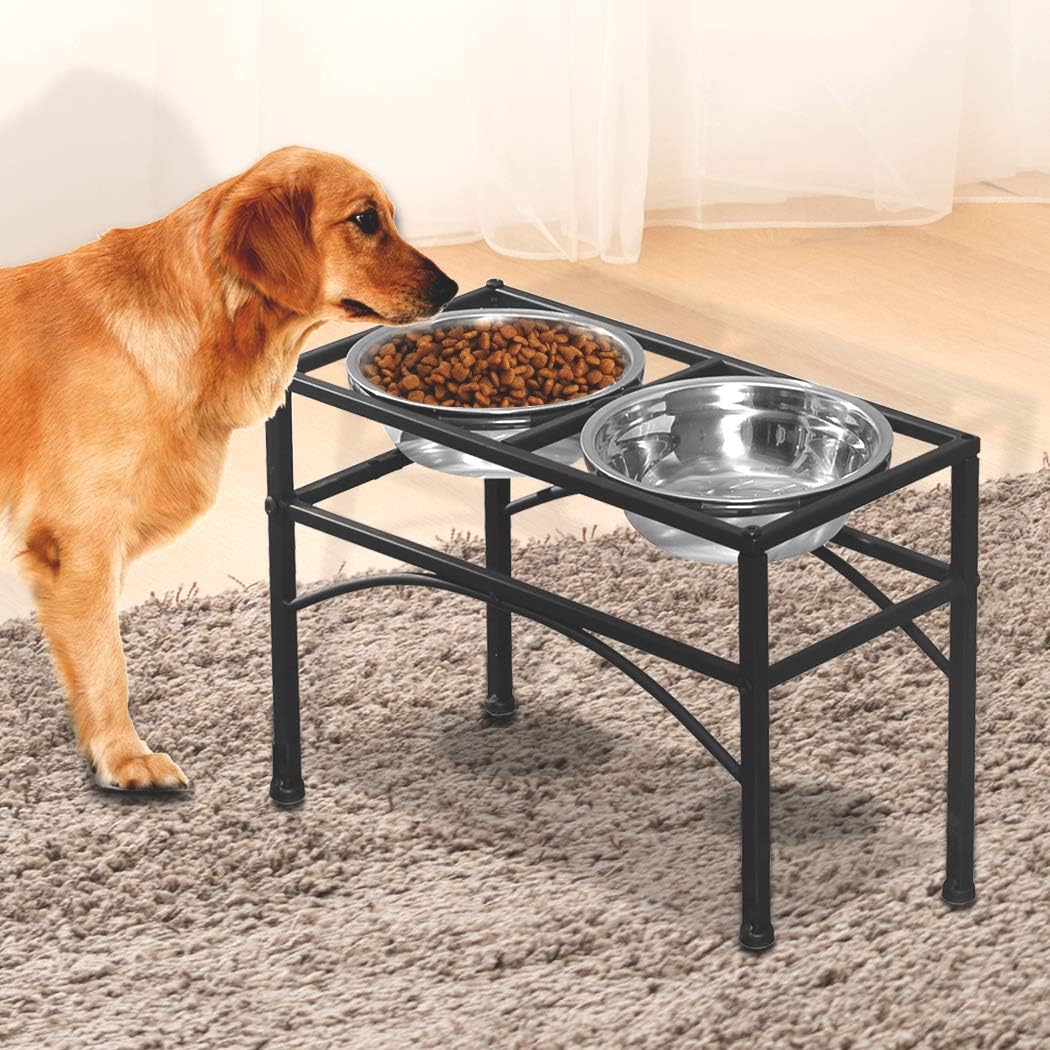A golden retriever stands on a gray shag rug next to a black metal elevated pet feeder and water bowl stand, with a bowl of kibble and a stainless-steel water bowl on the stand at Pet Servo
