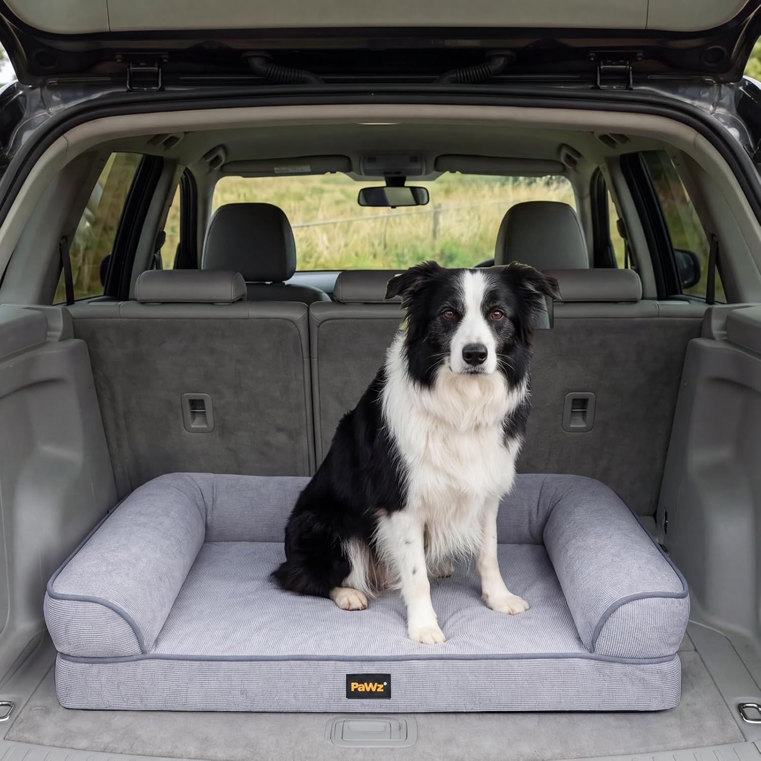 A black and white Border Collie sits on a light gray plush dog bed placed in the open trunk of a gray SUV at Pet Servo