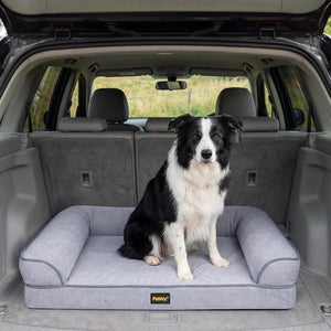 A black and white Border Collie sits on a light gray plush dog bed placed in the open trunk of a gray SUV at Pet Servo