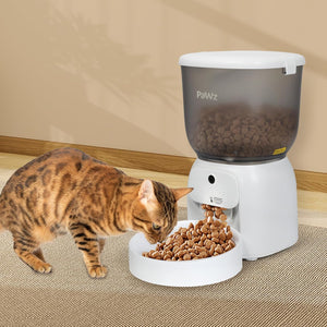 Cat eating from a white pet food dispenser filled with food on a wooden floor at Pet Servo