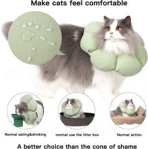 Cat wearing a green comfort wrap with additional images showing its use at Pet Servo