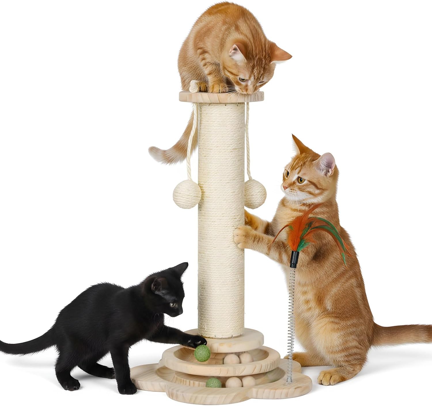Three cats interacting with a cat tree on a white background at Pet Servo