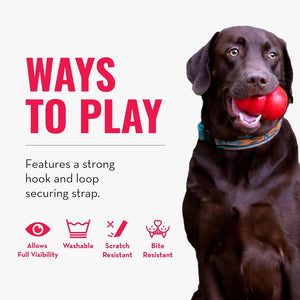 Dog playing with a red ball, featuring text about ways to play and product features at Pet Servo