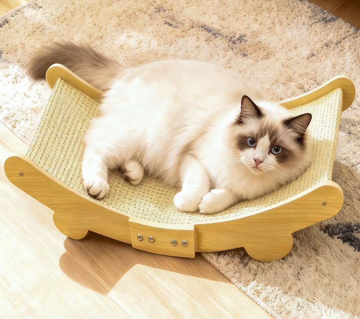 Cat lying on a wicker pet bed with wooden frame on a carpeted floor at Pet Servo