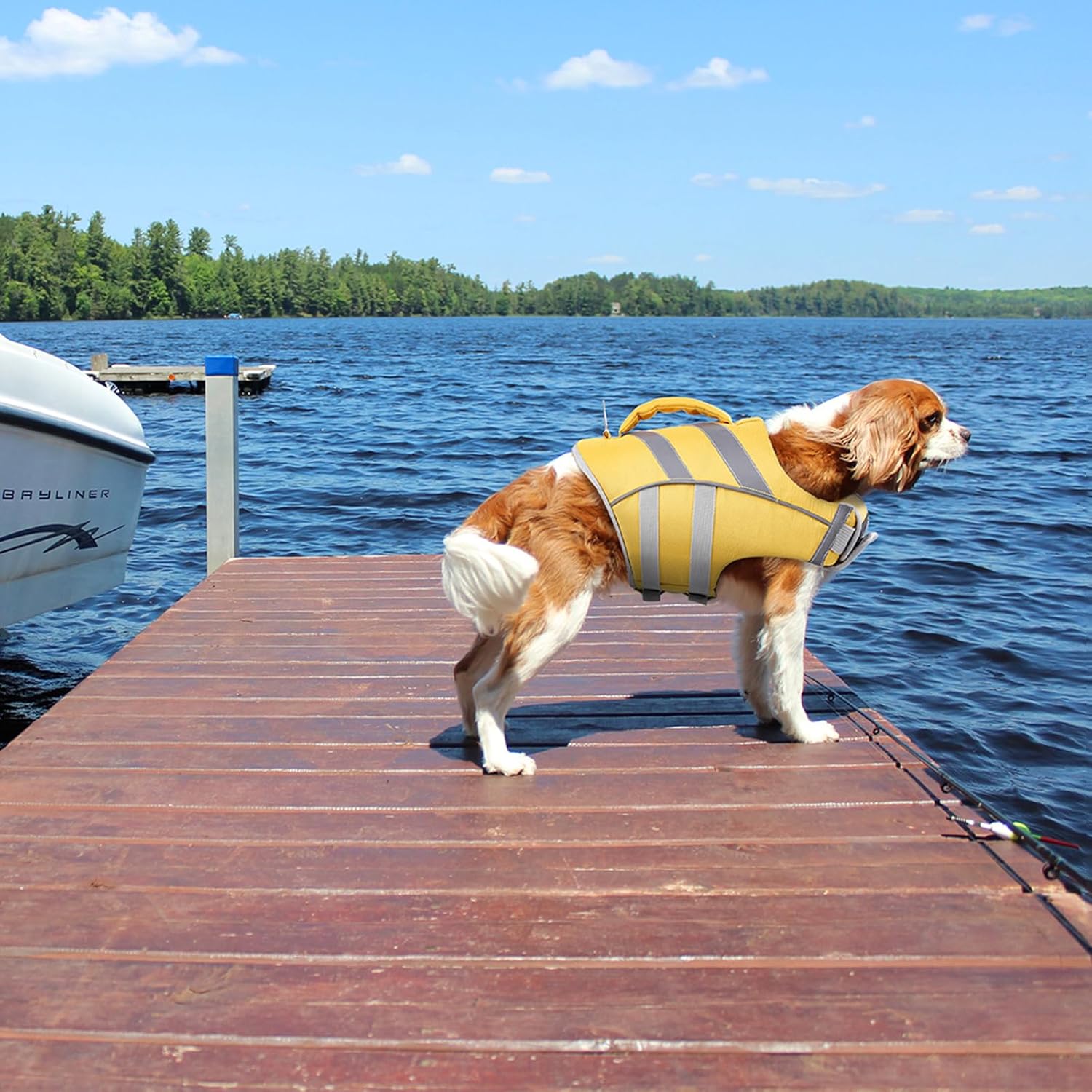 Dog wearing a life jacket on a dock by a lake with a boat in the background at Pet Servo