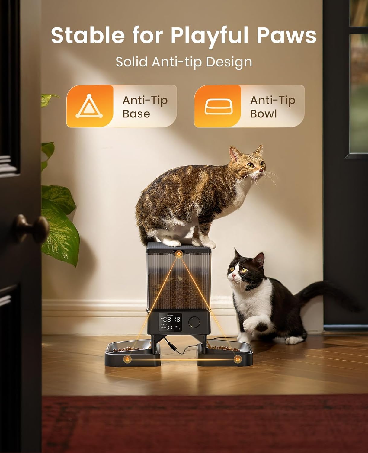 Buy oneisall - Automatic Cat Feeder for Dry Food at Pet Servo