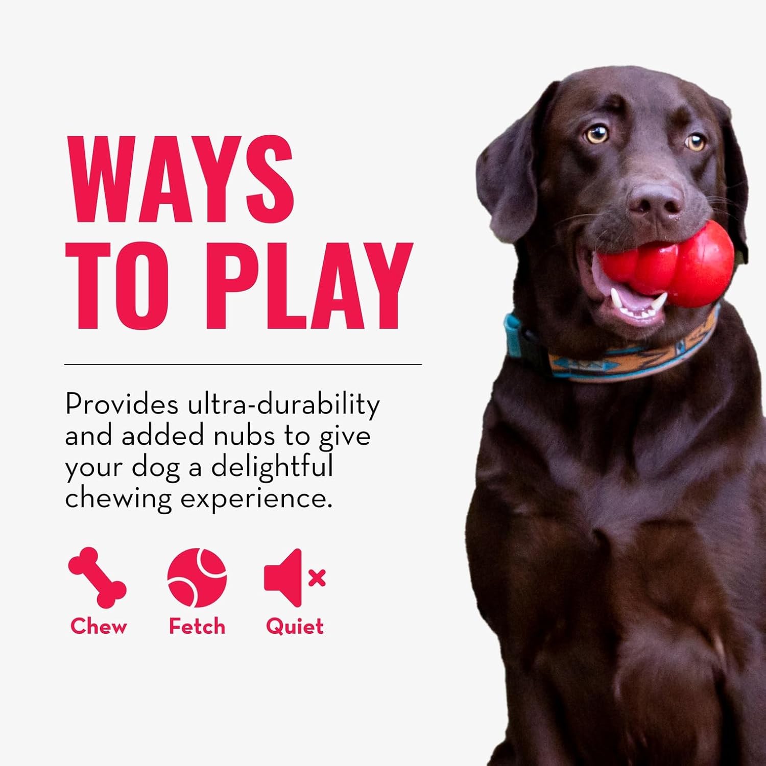 Dog playing with a red ball on a white background with text about dog toys at Pet Servo