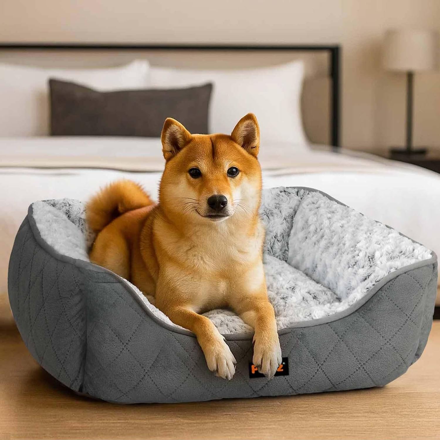 Dog lying on a gray pet bed in a bedroom setting at Pet Servo