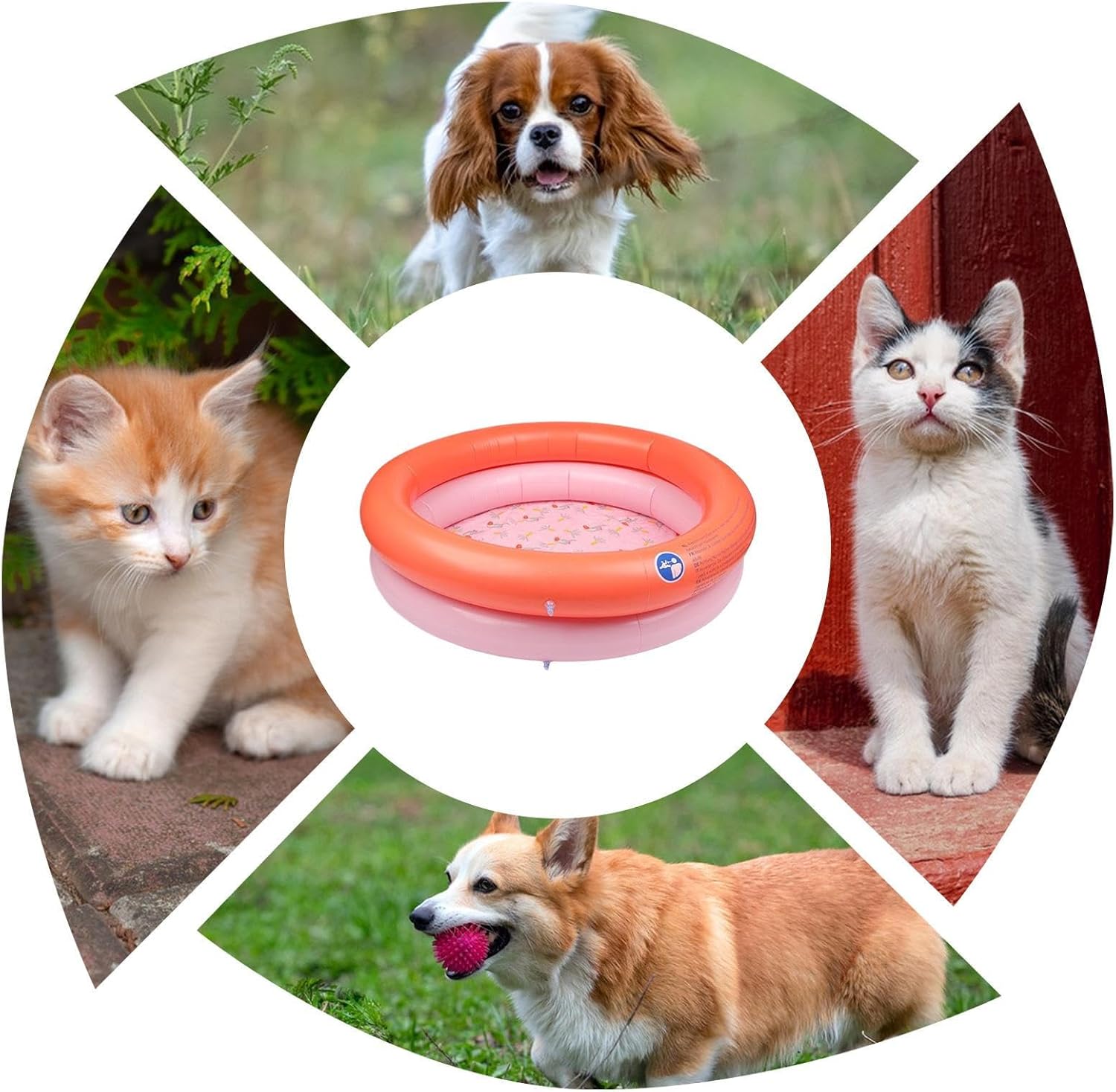 Collage of pets with a small inflatable pool in the center at Pet Servo