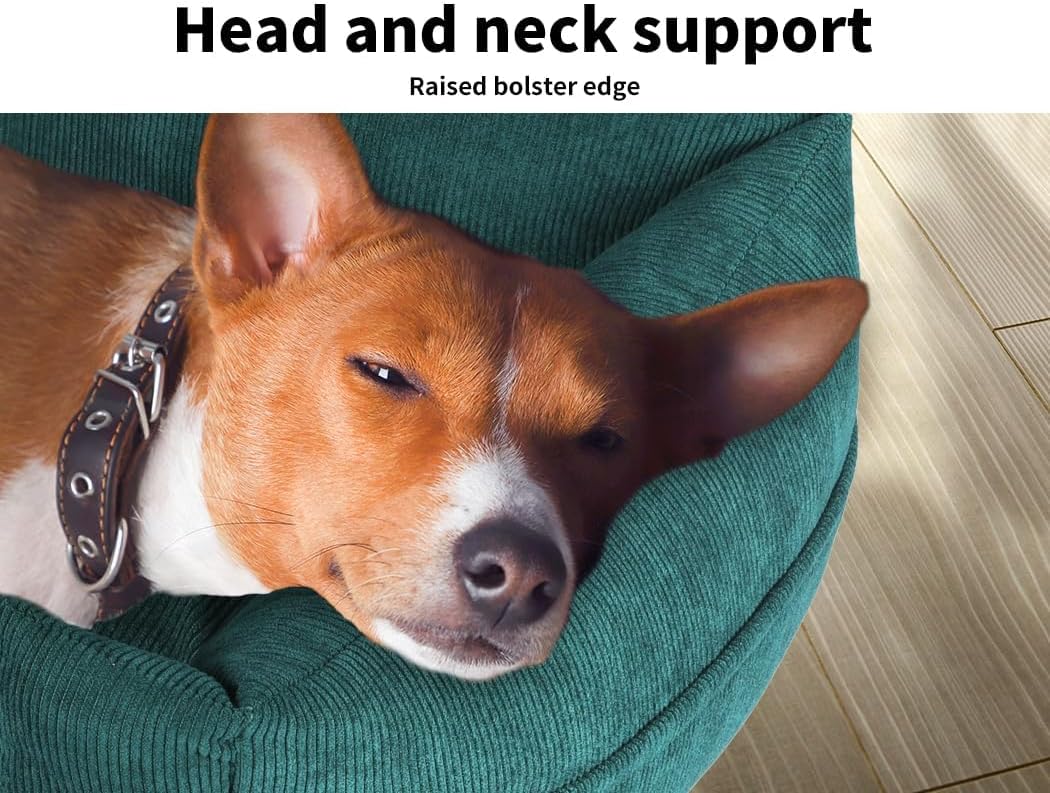 Dog resting its head on a green pet bed with text 'Head and neck support Raised bolster edge' at Pet Servo