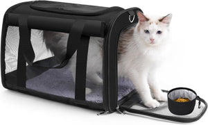 Cat inside a black pet carrier with a white background at Pet Servo