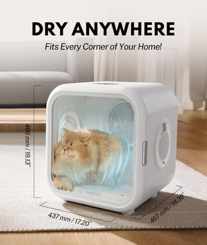 Pet dryer with a cat inside, labeled 'Dry Anywhere Fits Every Corner of Your Home'.