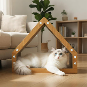 Cat lying on a wooden pet house in a cozy living room at Pet Servo