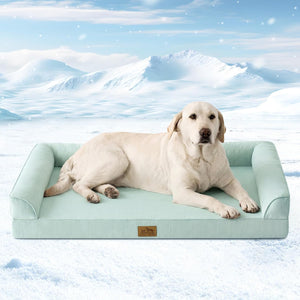 A cream-colored Labrador Retriever lies on a light mint green pet bed with a snowy mountain background at Pet Servo