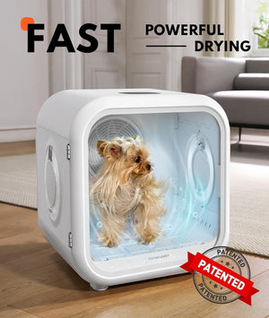 Dog dryer with a dog inside, labeled 'Fast Powerful Drying' and 'Patented'.