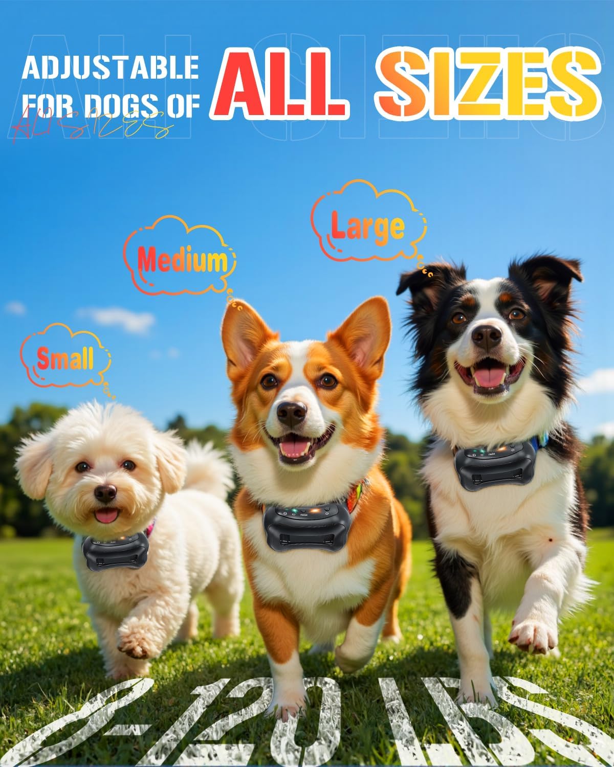 Three dogs of different sizes wearing adjustable dog collars with text 'Adjustable for dogs of all sizes' at Pet Servo