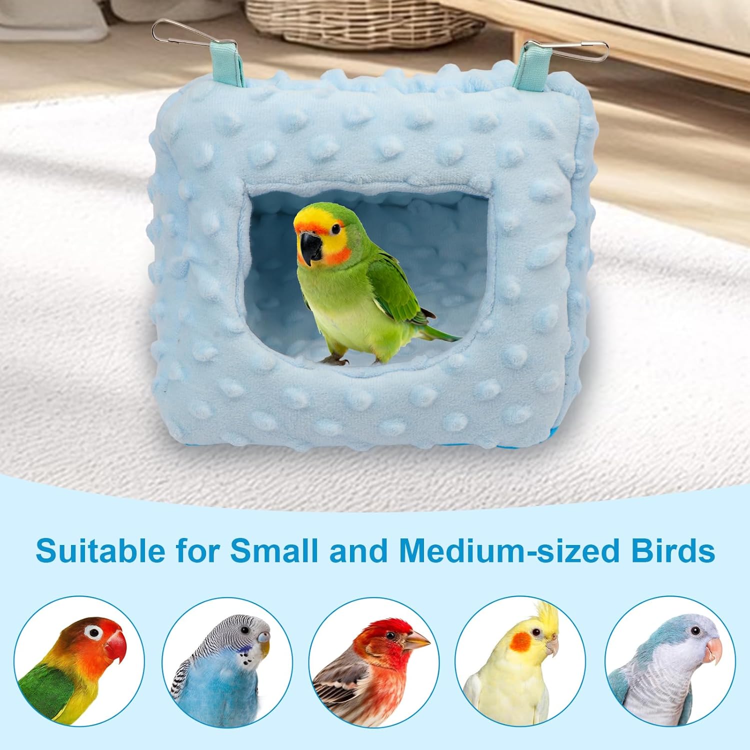 Blue bird nest with a parrot inside on a white blanket, suitable for small and medium-sized birds at Pet Servo