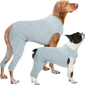 Two dogs wearing gray dog onesies on a white background