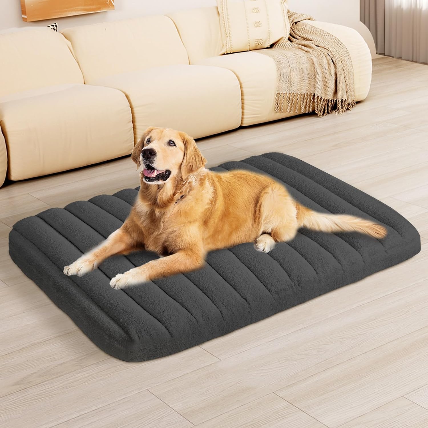 Dog lying on a gray pet bed in a living room at Pet Servo