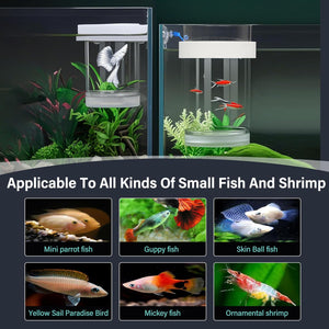 Two small aquariums with fish and plants, accompanied by images of various types of fish and shrimp at Pet Servo