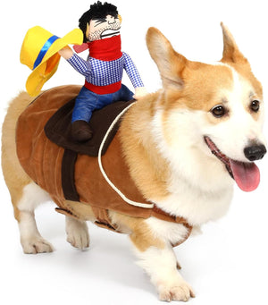Dog wearing a costume with a small figure on its back, set against a white background at Pet Servo