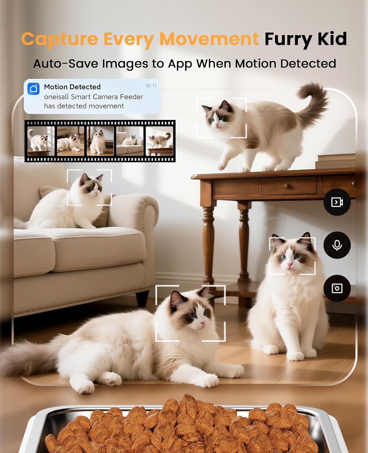 Buy oneisall - Automatic 5G WiFi Smart Pet Feeder at Pet Servo