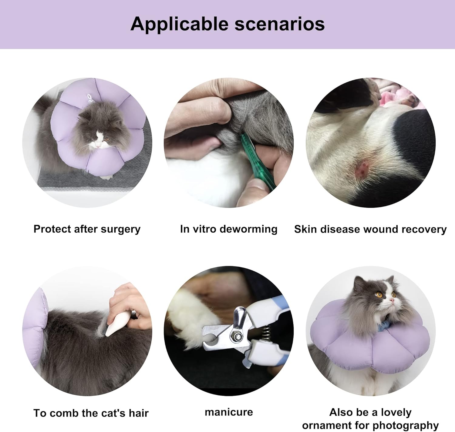 Cat product with various uses including surgery protection, deworming, wound recovery, grooming, and photography at Pet Servo