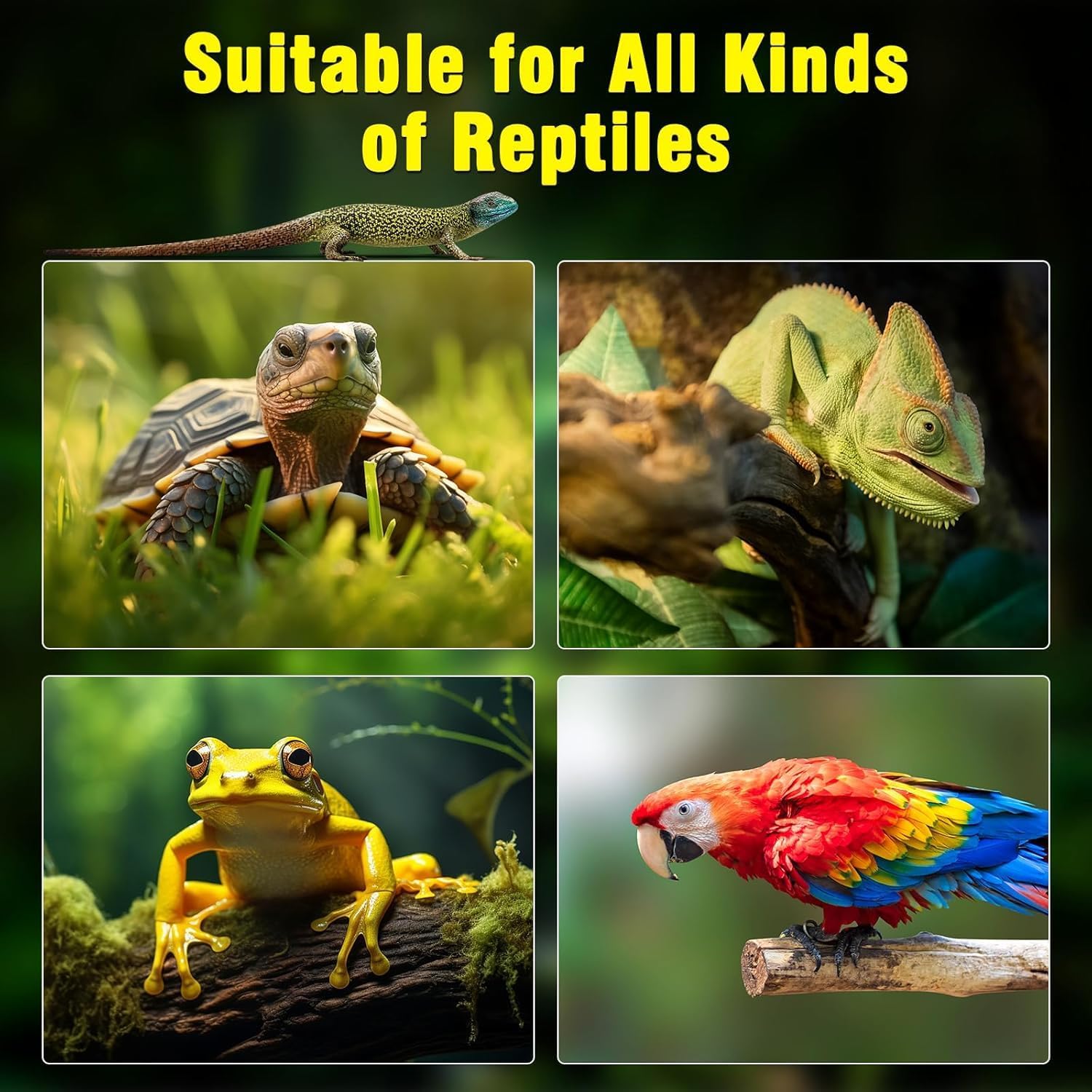 Collage of various reptiles with text 'Suitable for All Kinds of Reptiles' on a dark background at Pet Servo
