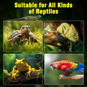 Collage of various reptiles with text 'Suitable for All Kinds of Reptiles' on a dark background at Pet Servo
