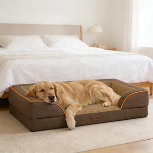 Dog lying on a brown pet bed in a bedroom setting at Pet Servo