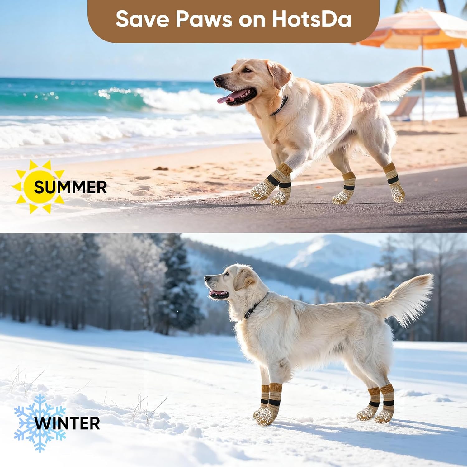 Dog wearing protective booties on a beach and in the snow with promotional text at Pet Servo