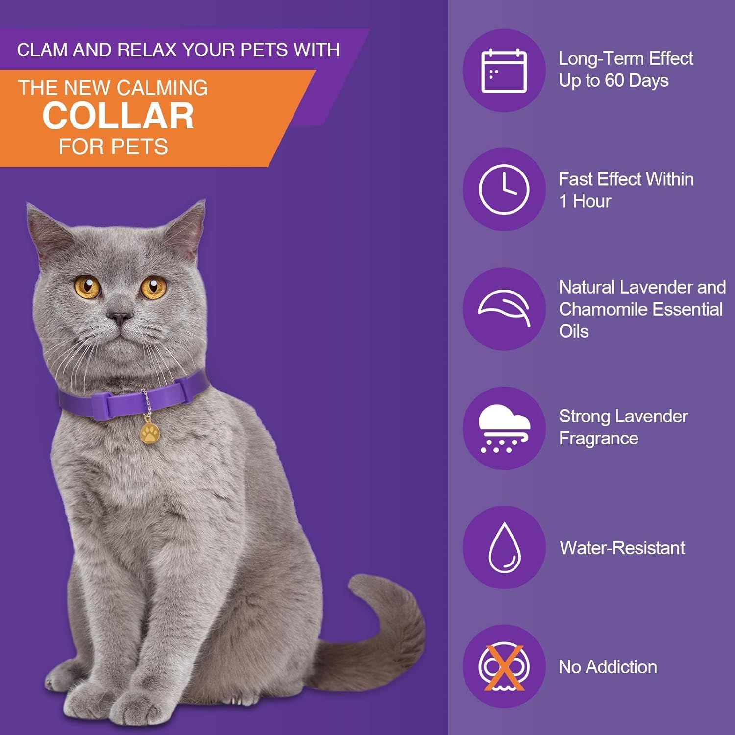 Cat wearing a purple calming collar with product features on a purple background at Pet Servo