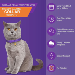 Cat wearing a purple calming collar with product features on a purple background at Pet Servo