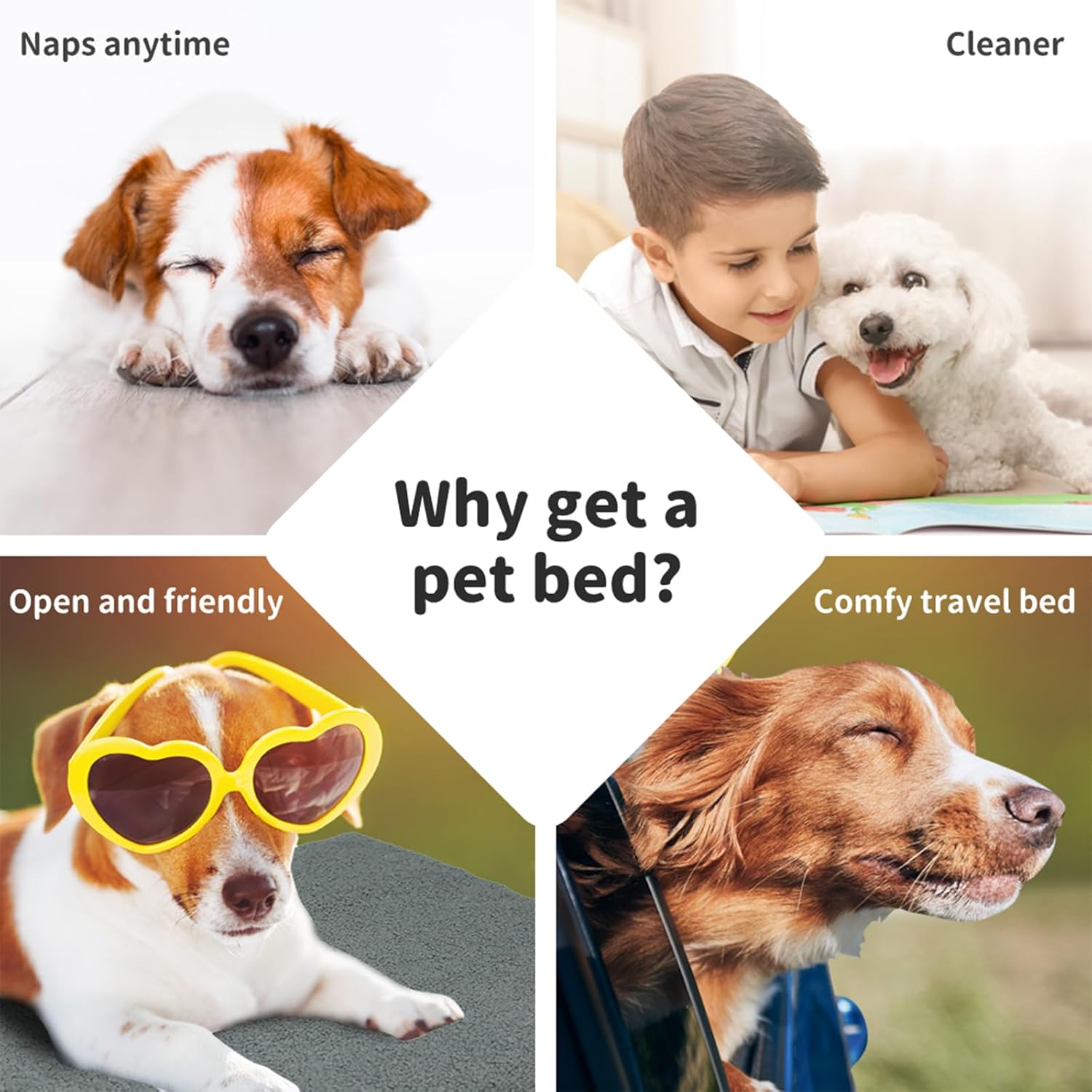 Promotional collage for pet beds with dogs and a child interacting at Pet Servo