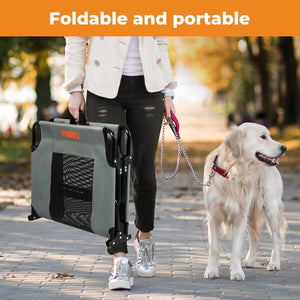 Person walking a dog with a portable pet carrier in an urban park setting at Pet Servo