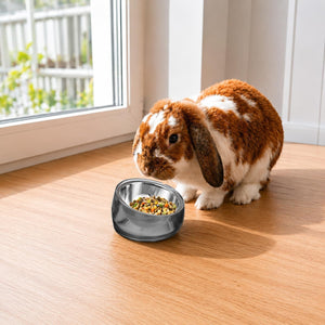 A brown and white lop-eared rabbit is eating from a small metallic bowl filled with colorful pellets on a light wood floor near a window at Pet Servo