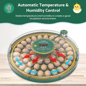 Egg incubator with automatic temperature and humidity control on a white background