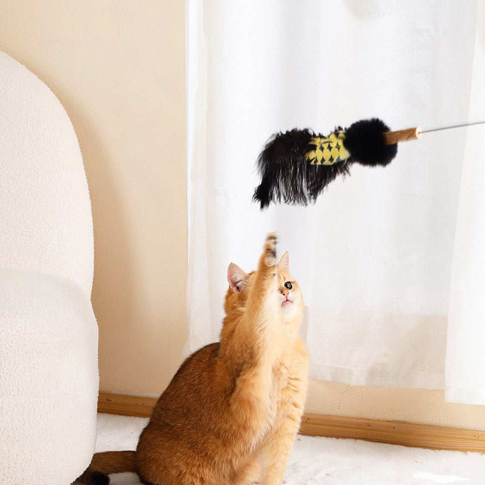 An orange cat sits on a white rug in a room, reaching up at a black and yellow feather duster toy held on a thin rod near a white curtain at Pet Servo