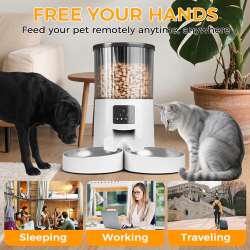 Pet feeder with a dog and cat, and lifestyle images of people at work and home at Pet Servo