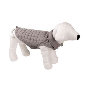 Dog wearing a gray quilted coat on a white background