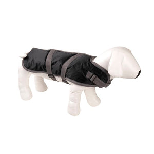 Black dog coat on a white dog model