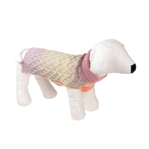 Dog wearing a colorful knitted sweater on a white background