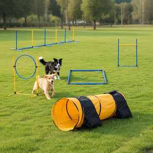 Two dogs playing with an agility course on a grassy field at Pet Servo