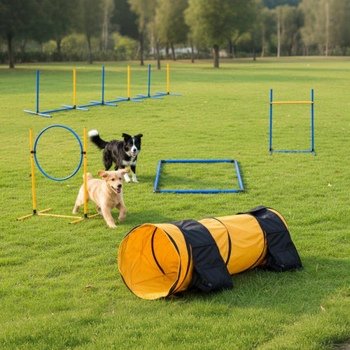 Two dogs playing with an agility course on a grassy field at Pet Servo