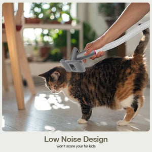 Advwin 9-in-1 Pet Grooming Vacuum Kit & Hair Dryer at Pet Servo
