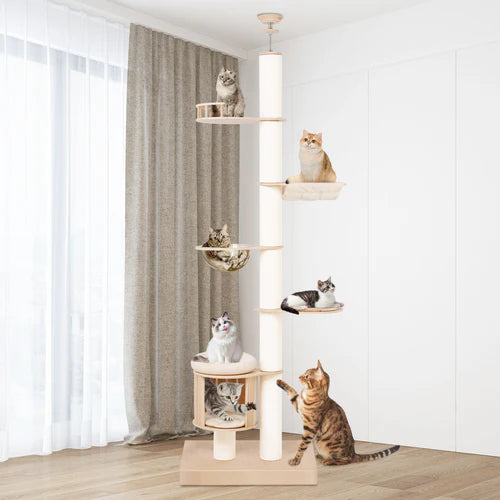 Cat tree with multiple cats on different levels in a room with curtains and a light-colored floor at Pet Servo