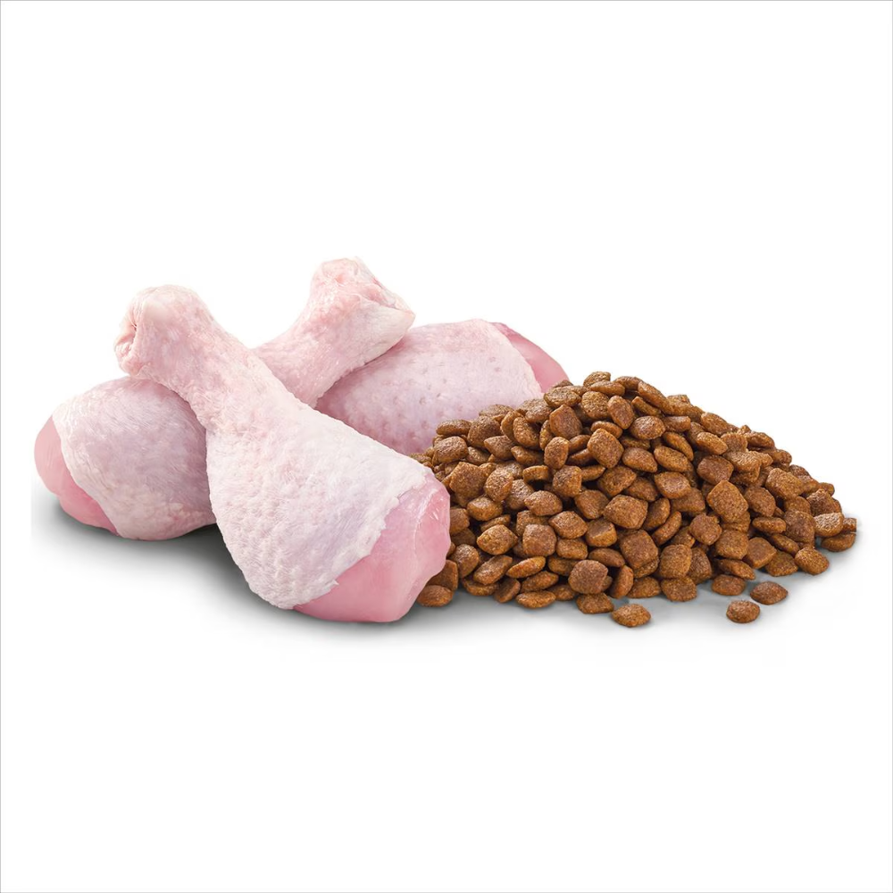Optimum - Kitten 2-12 Months Dry Cat Food With Chicken 800g - Petservo