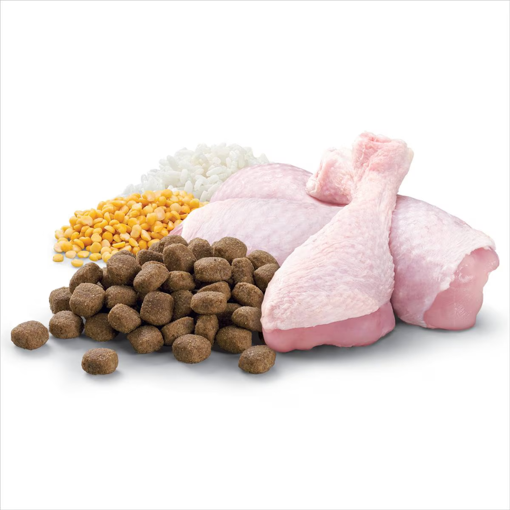 Optimum - Adult All Breed Dry Dog Food Chicken, Vegetables & Rice 3kg - Petservo