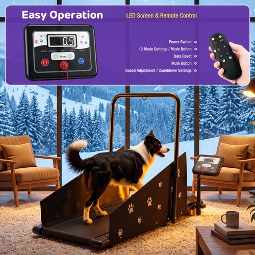 A black automatic pet treadmill with an incline ramp and side-mounted digital display, shown with a black remote control in a hand and a dog walking on it. A large purple overlay at the top explains features like easy operation and LED screen & remote control, set against a living room background with a snowy window view at Pet Servo